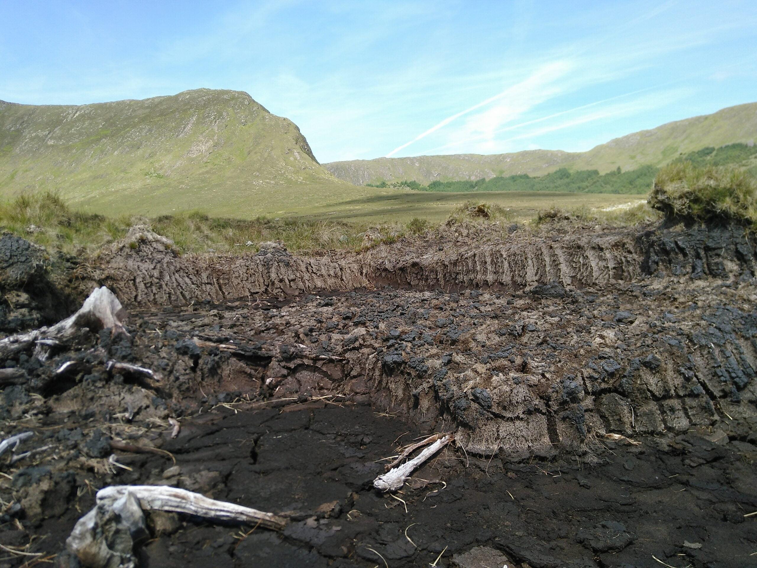 SEDIMENTS AND HABITATS