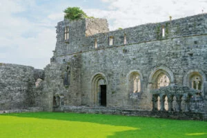 Cong Abbey Cloister remains