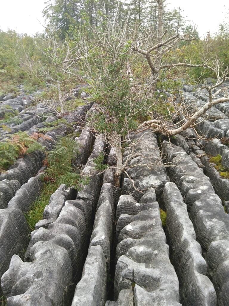 pavement drimgeen oughter 1
